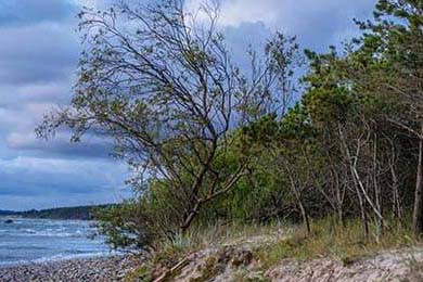 体育摄影大赛记录运动精彩瞬间，体育摄影作品简介