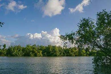 体育摄影大赛记录运动精彩瞬间，体育摄影作品简介